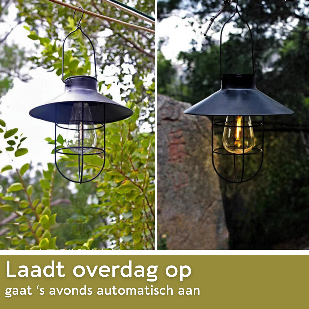 Lardic Solar Garden Lamp - Wall Lamp Black