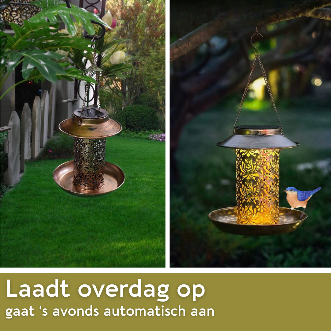 Lardic Solar Garden Light on Solar Energy - with Bird Feeder
