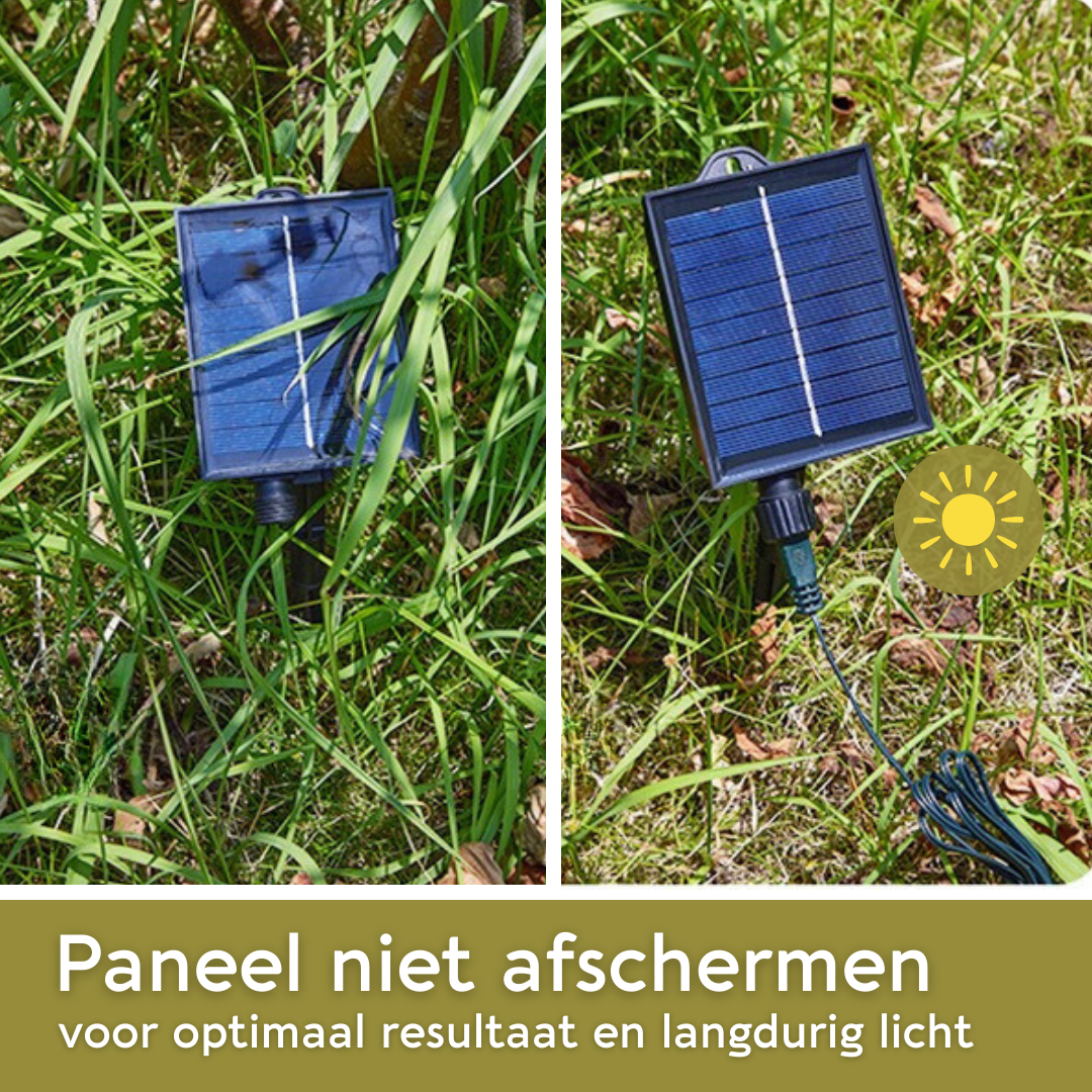 Lardic® Solar Garden Lamp with Ground Spike – Garden Lighting - Bulbs