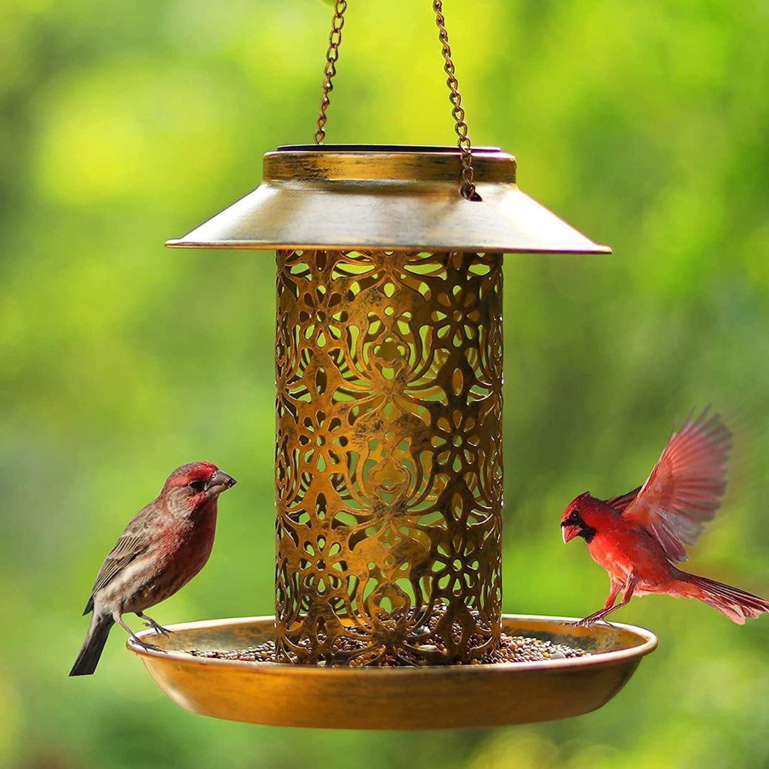 Lardic Solar Garden Light on Solar Energy - with Bird Feeder